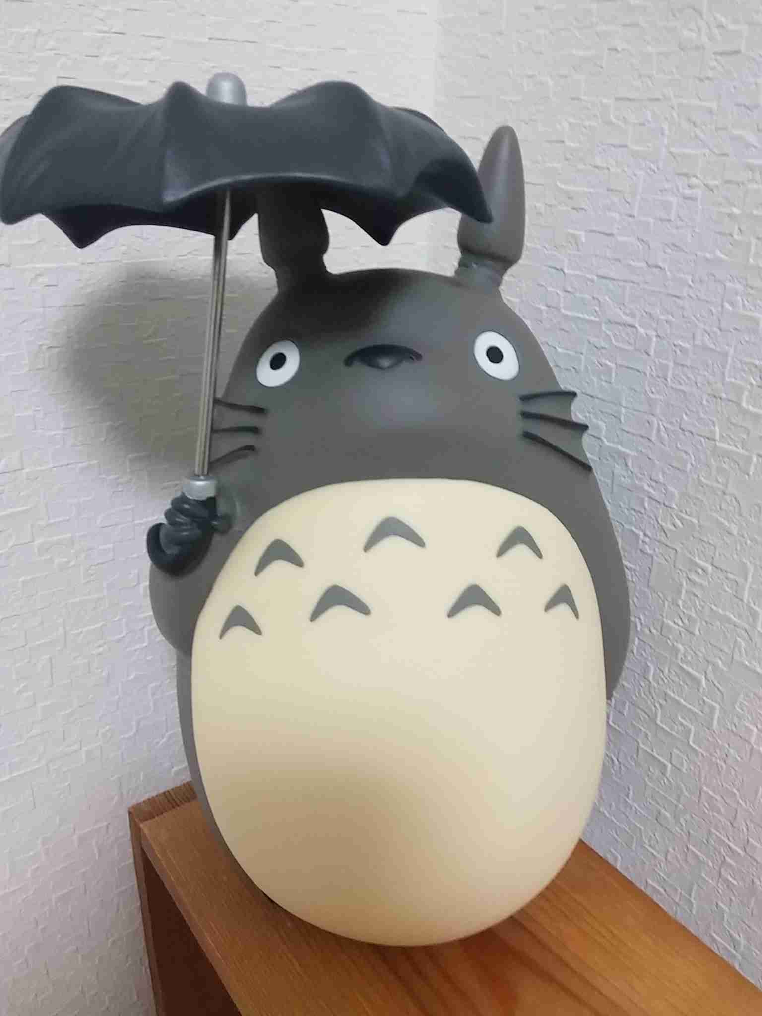 家にあるお気に入りの物を貼って紹介するトピ