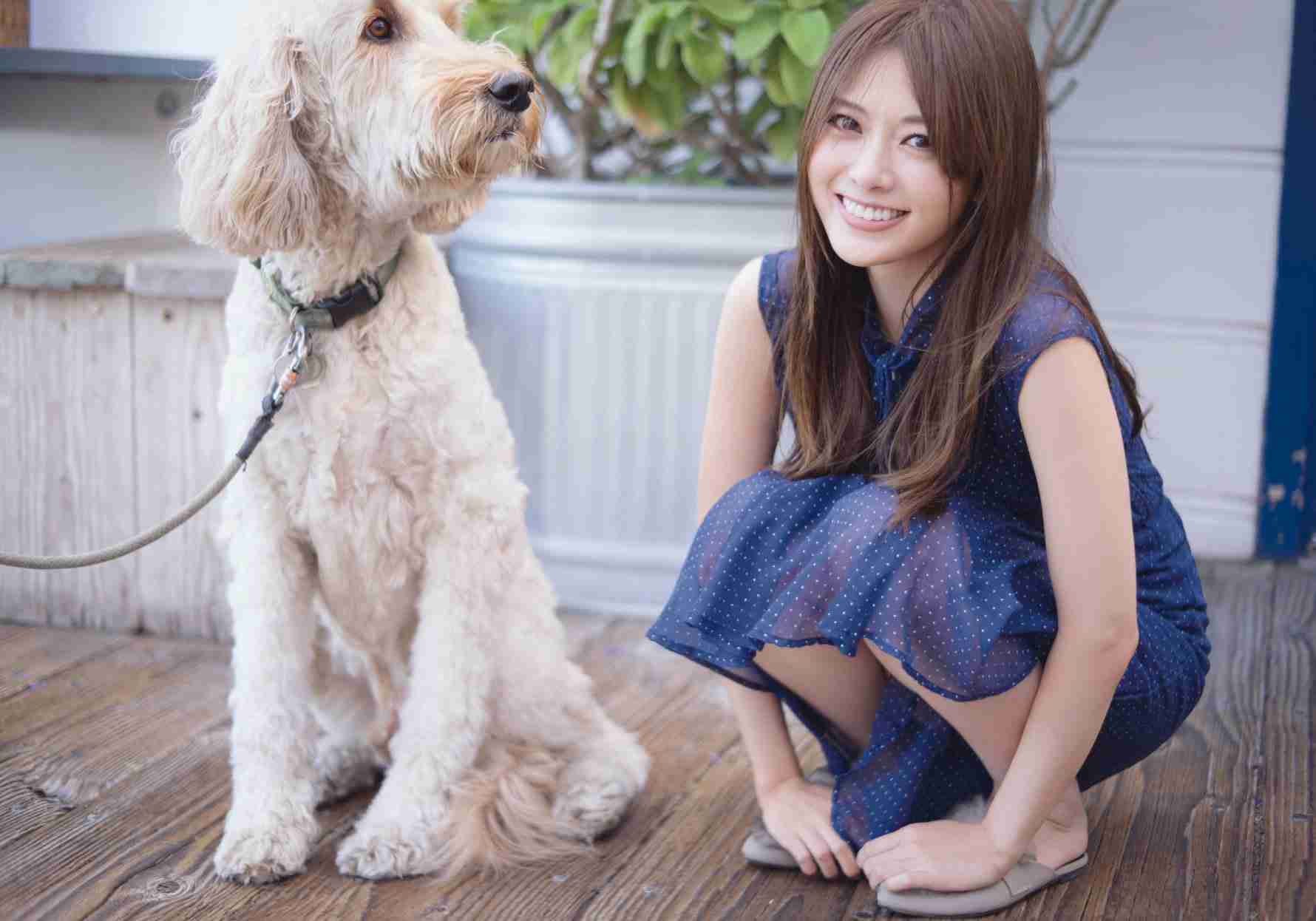 【画像】色んな白石麻衣が見たい