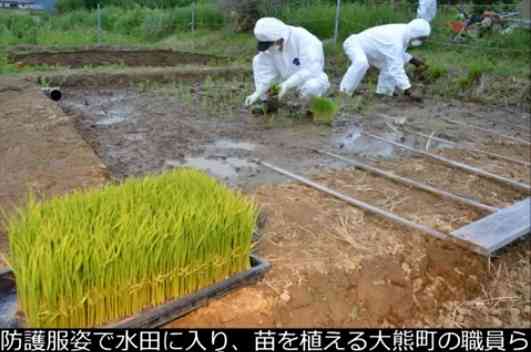  福島県の日本酒動画に中傷　全コメント削除