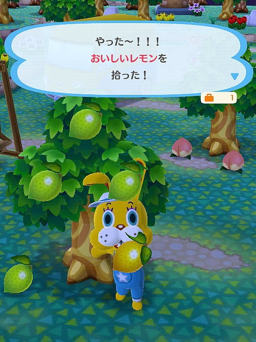 【ポケ森】どうぶつの森 ポケットキャンプ【Part16】