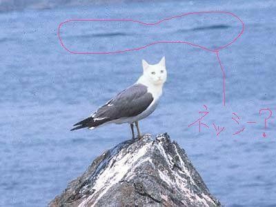 得体のしれない生物が好きな人