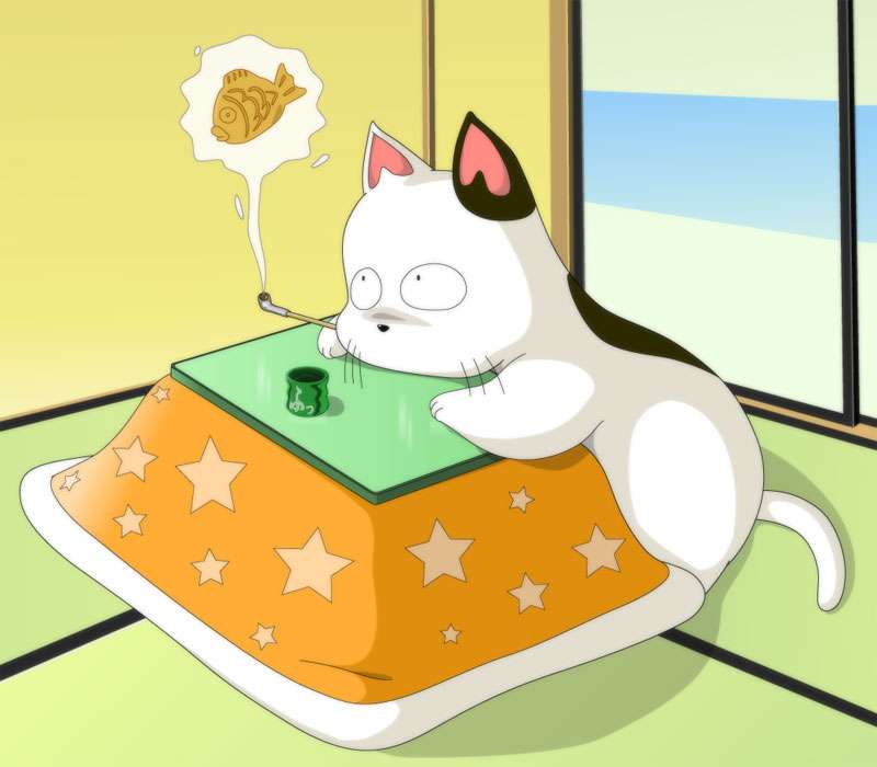 【2次元】このキャラ好きな人は少数派