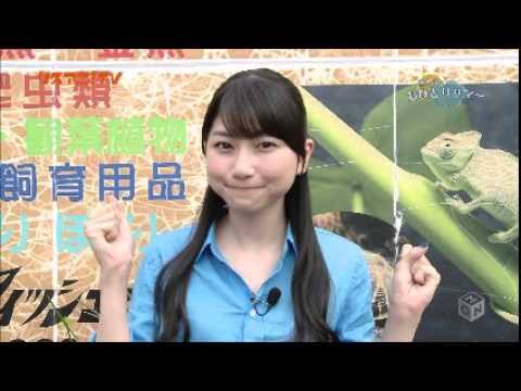 エラが張ってる人