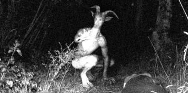 UMAに興味がある、好きな人
