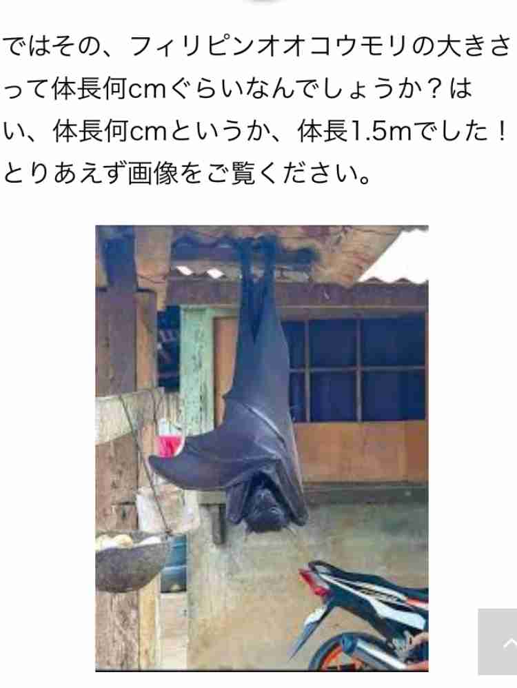 UMAに興味がある、好きな人