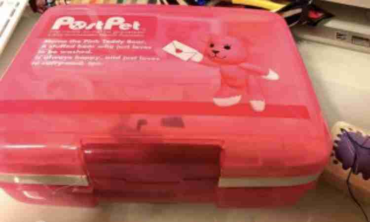 90年代生まれの人が昔を懐かしむトピ