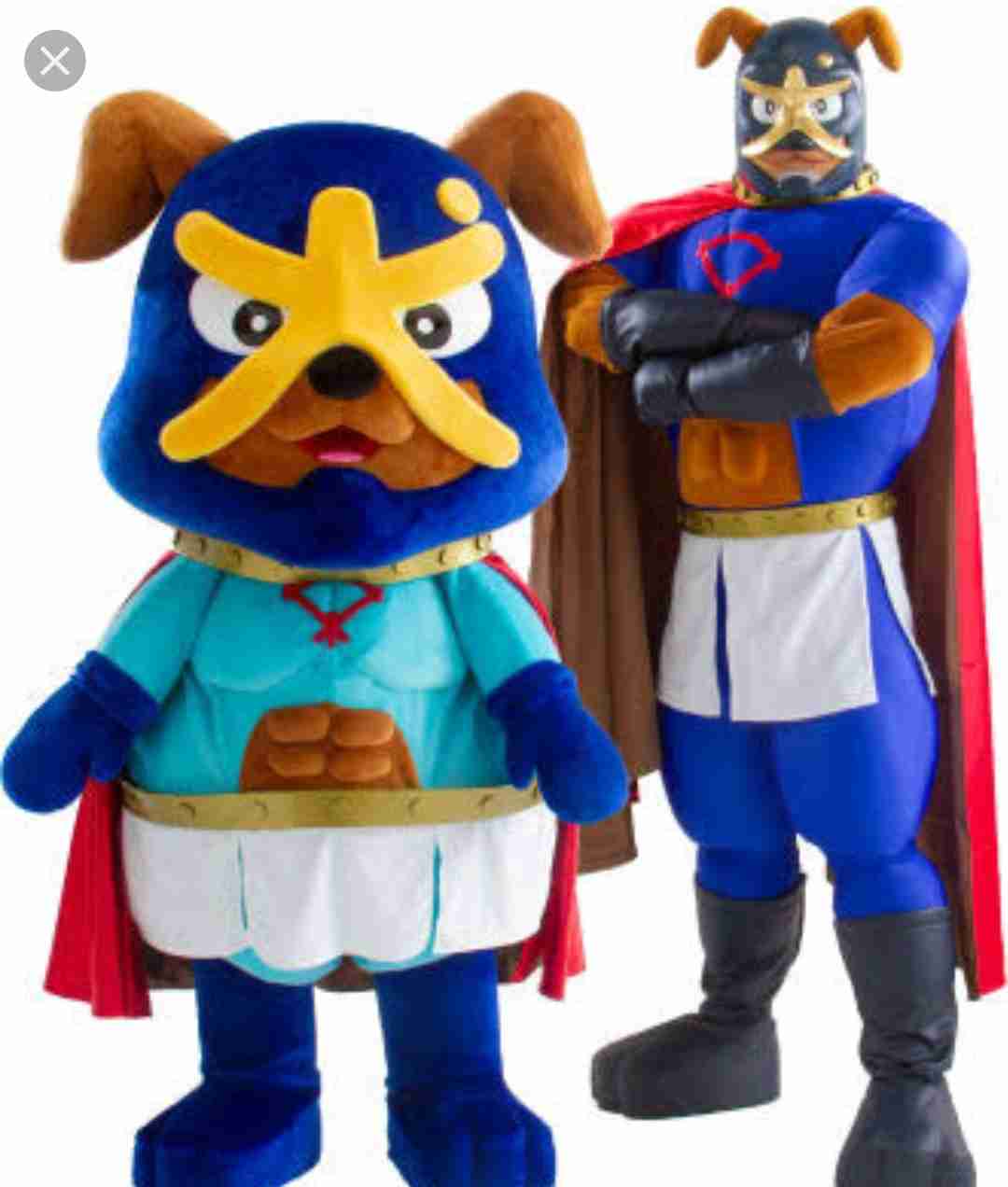 ゆるキャラを紹介するトピ