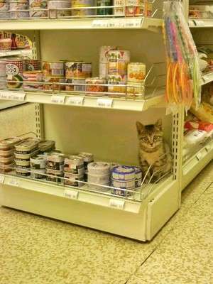 スーパーじゃなくてコンビニに行ってしまう理由!