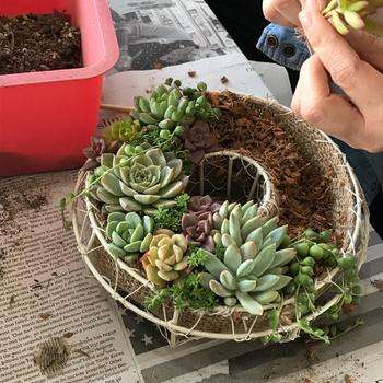 一年中飾れる玄関ドアのリース