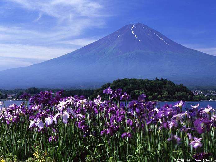 色々な富士山🗻を眺めるトピ♪