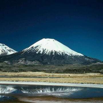 色々な富士山🗻を眺めるトピ♪