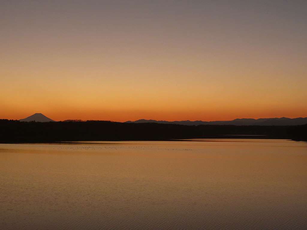 色々な富士山🗻を眺めるトピ♪
