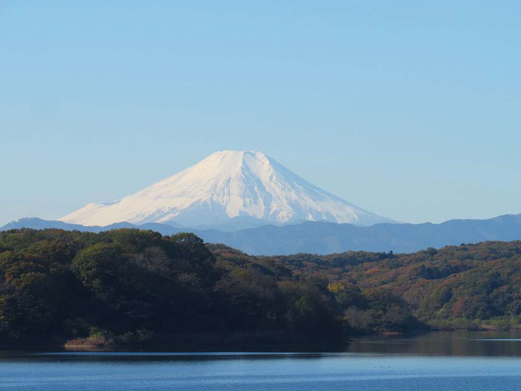 色々な富士山🗻を眺めるトピ♪