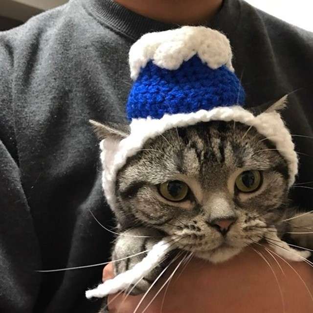 色々な富士山🗻を眺めるトピ♪