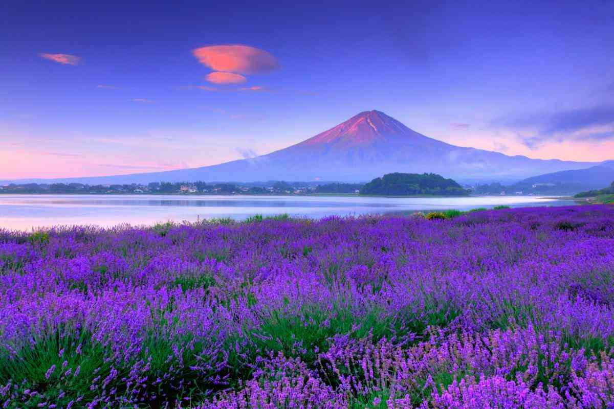色々な富士山🗻を眺めるトピ♪