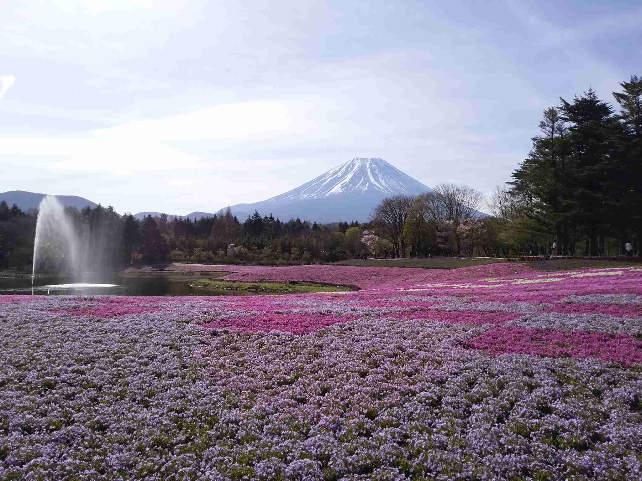 色々な富士山🗻を眺めるトピ♪