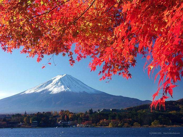 色々な富士山🗻を眺めるトピ♪