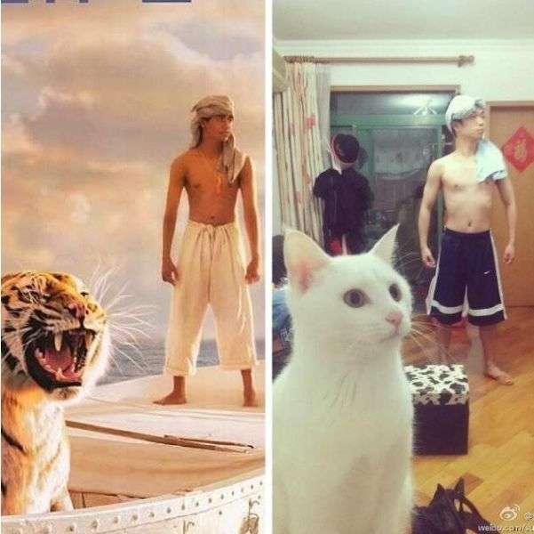 ネコ科の動物の画像が見たいです。