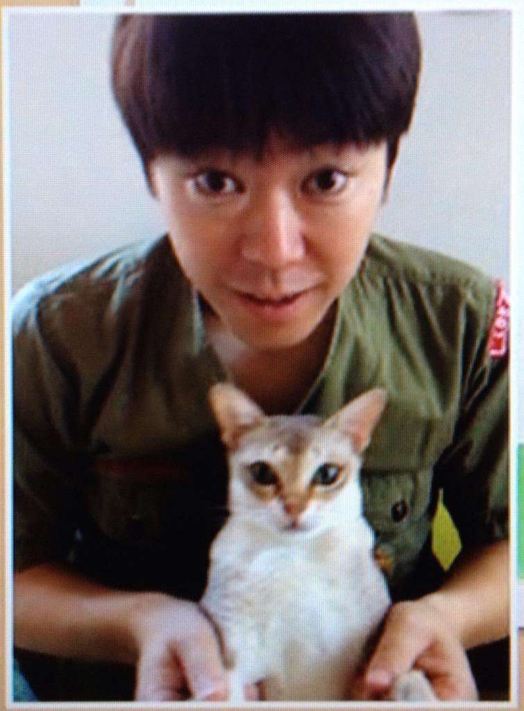 ネコ科の動物の画像が見たいです。