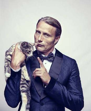 ネコ科の動物の画像が見たいです。