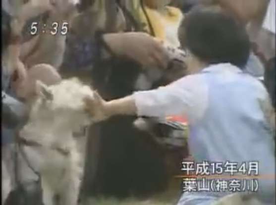 ｛実況・感想｝新天皇陛下即位、剣璽等承継・朝見の儀｛令和元年｝