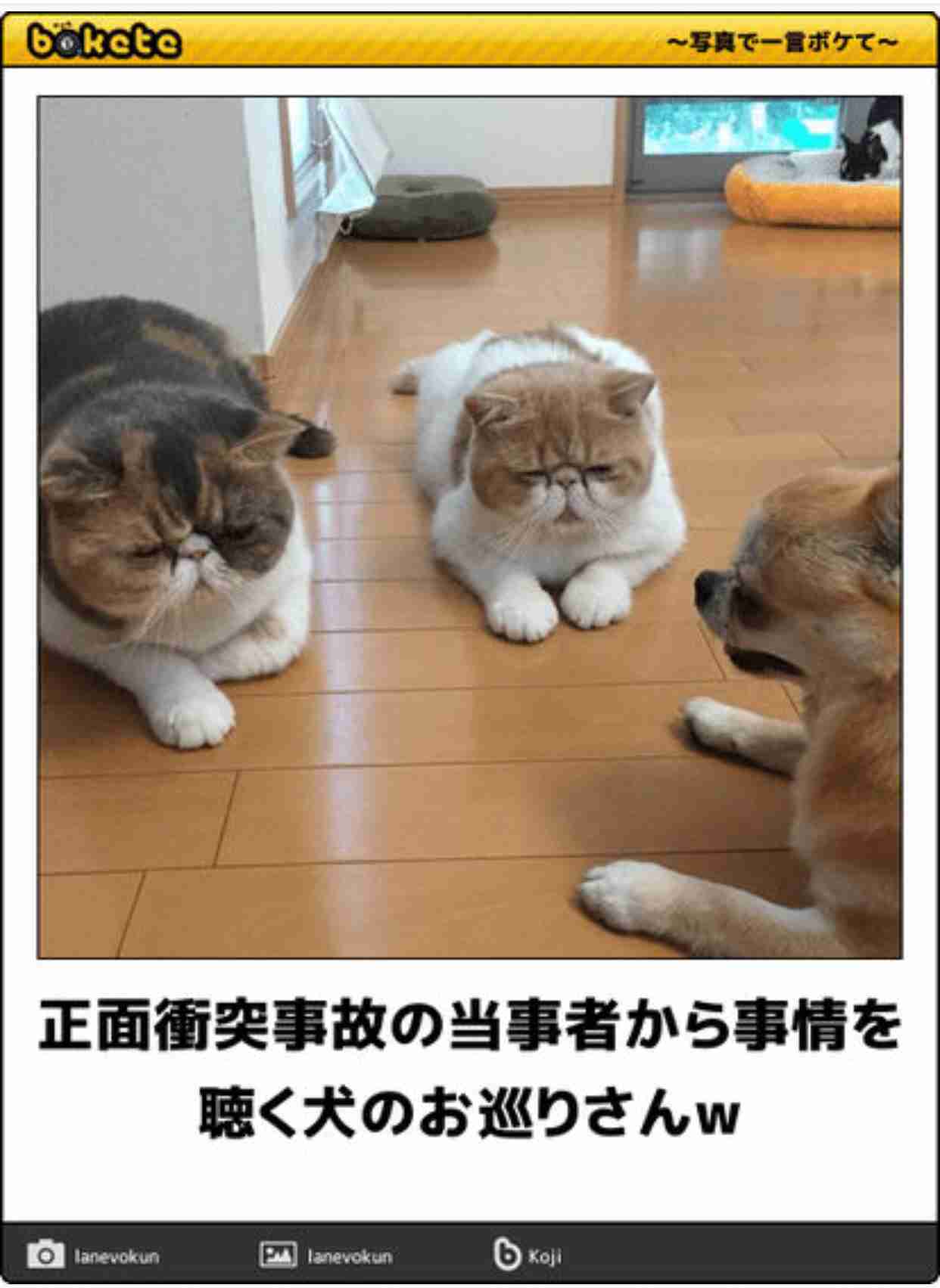 みやぞん、二股かけられた…付き合っている女性が他の男と手を…。