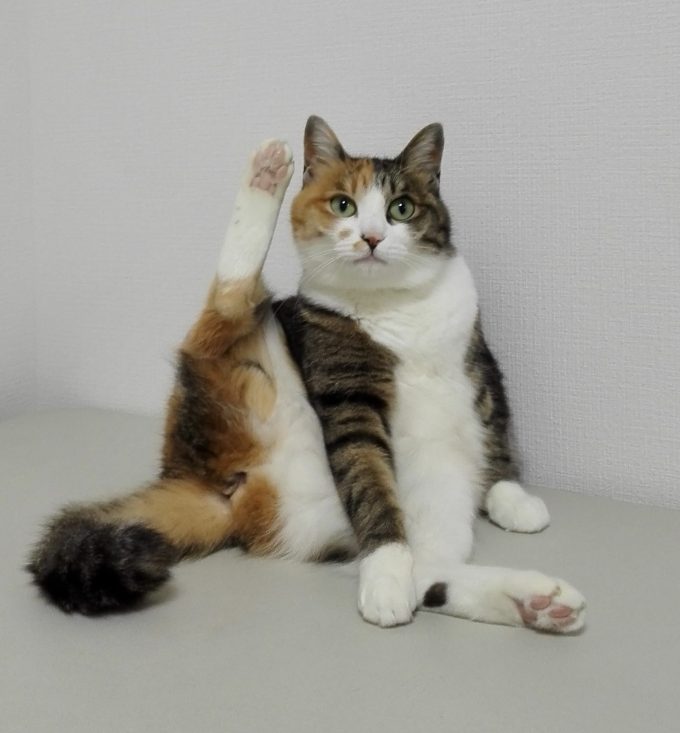 ねぇみんな、足の匂い嗅げる？