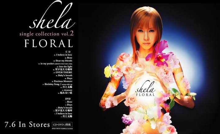 引退したけど好きな芸能人part2