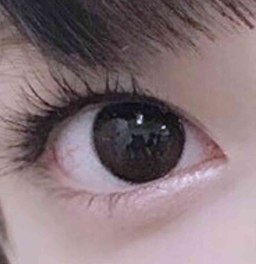 「人類で最もカワイイ子」指原莉乃がテレビで紹介し話題に