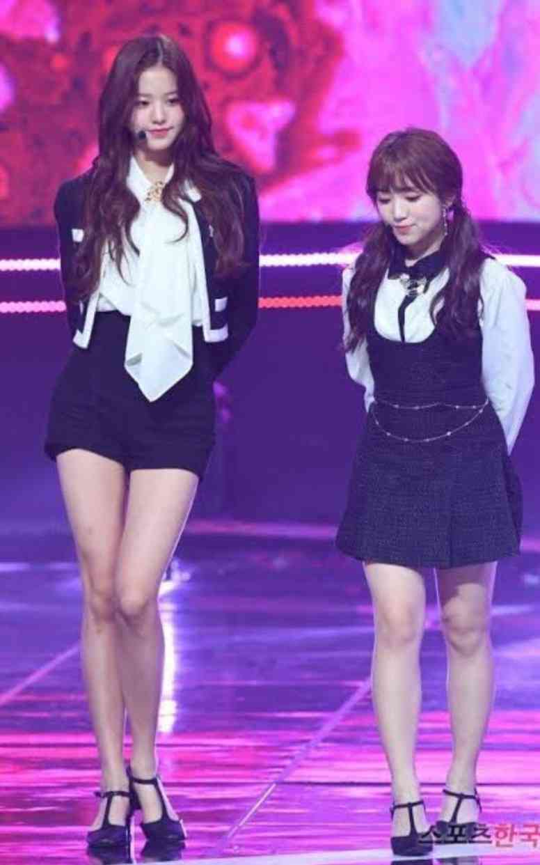 「人類で最もカワイイ子」指原莉乃がテレビで紹介し話題に