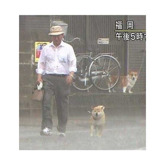 雨の日でも部屋の換気しますか？