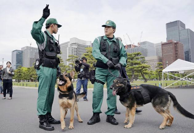 大型犬にありがちなこと