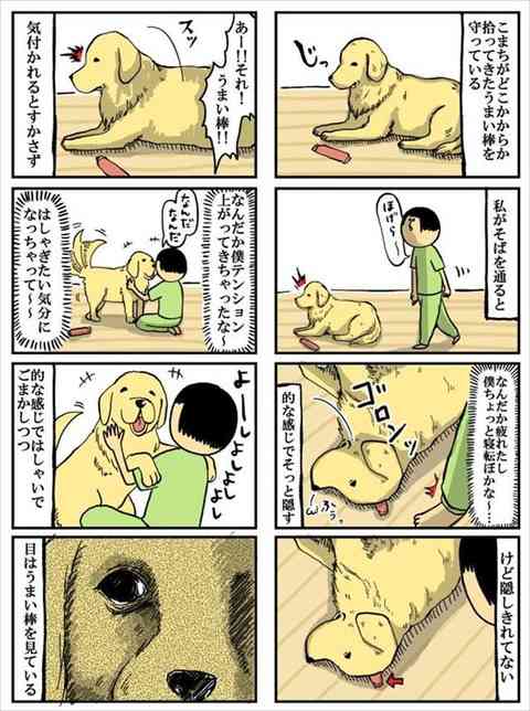 大型犬にありがちなこと