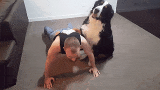 大型犬にありがちなこと