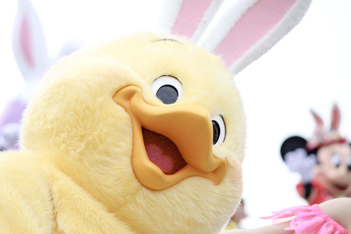 ディズニーランドのお勧めのお土産