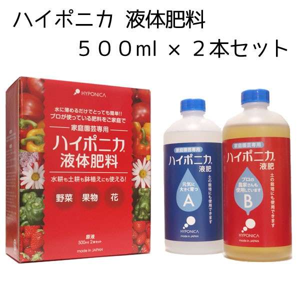 野菜の水耕栽培