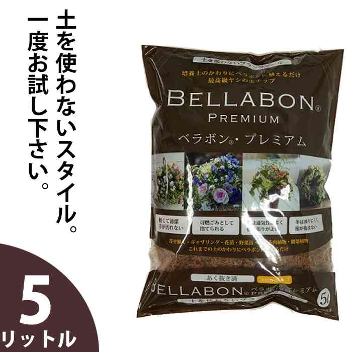 野菜の水耕栽培