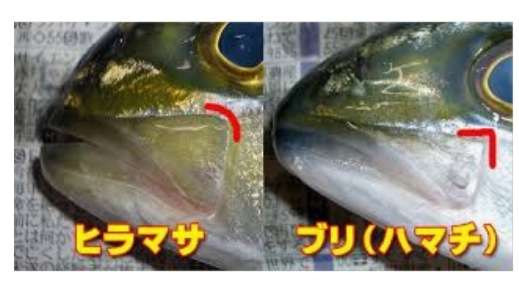 主婦をしてるのは契約だと思ってる専業の方！