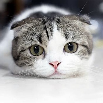 浮気したいと思ったことありますか?又その理由は何ですか?