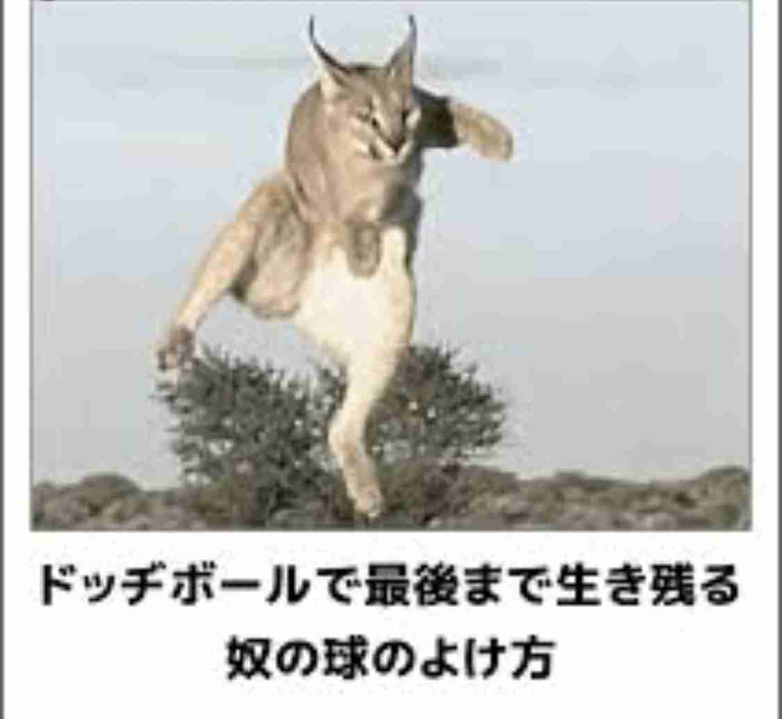 ドッヂボールが怖い