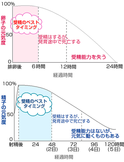妊活疲れ　Part31