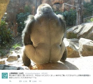 ぽっちゃりさんも絶対に細見え! 体型別「夏ワンピースの選び方」