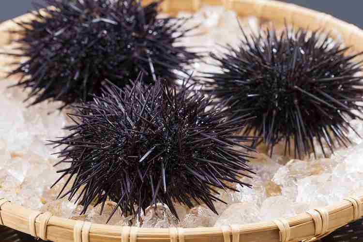 GLAYメンバーが居酒屋で働いていたらありそうな事