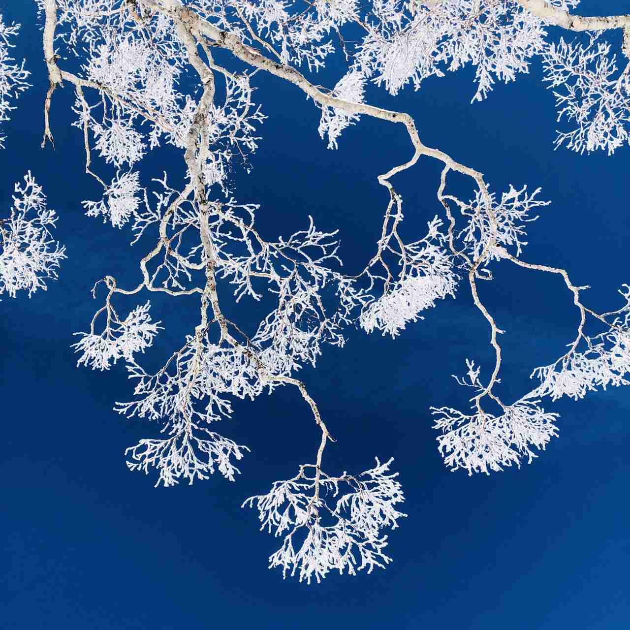 GLAYメンバーが居酒屋で働いていたらありそうな事