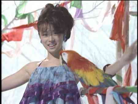 中森明菜を語ろう