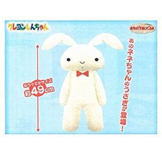 みんなで作るうさぎ図鑑