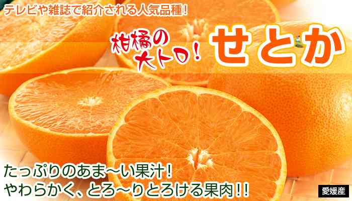 最近感動した食べ物を紹介するトピ
