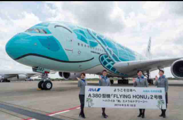 ハワイ旅行について教えて下さい！