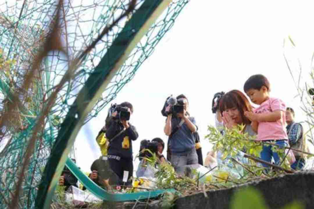 双方ブレーキかけずと断定、大津 園児死傷事故
