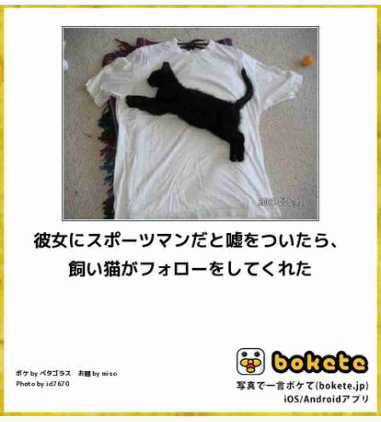 彼氏の猫と仲良くなりたいです